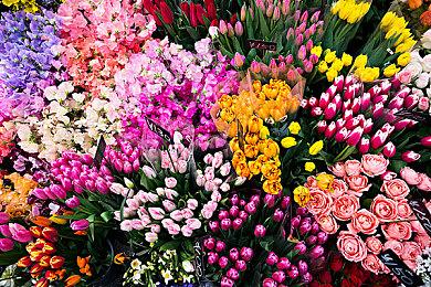 《盗日求生》改为PvPvE撤离类游戏 3月15日封闭测试