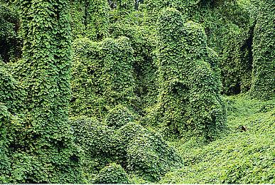 《蜡笔小新我与博士的暑假》最新30秒版日本电视广告